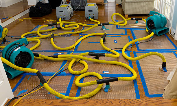 Professional Burst Pipe Water Damage technician working in Fairhope, PA